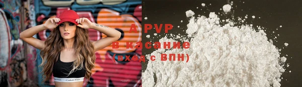крисы Ачинск