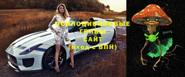 mdpv Вязники