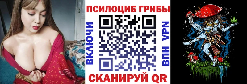 Псилоцибиновые грибы Psilocybine cubensis  Данков 